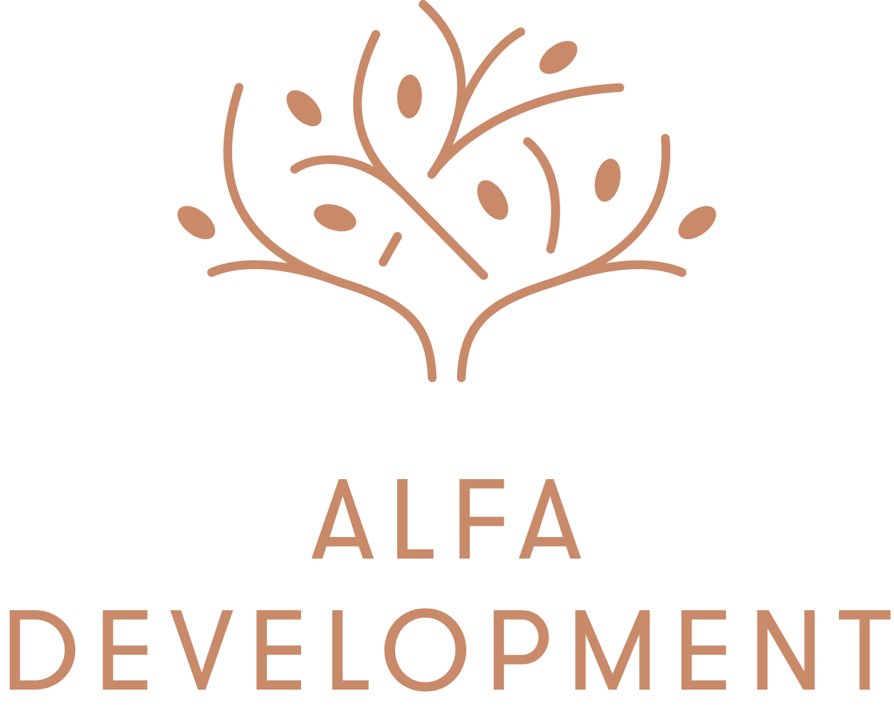 Alfa Development